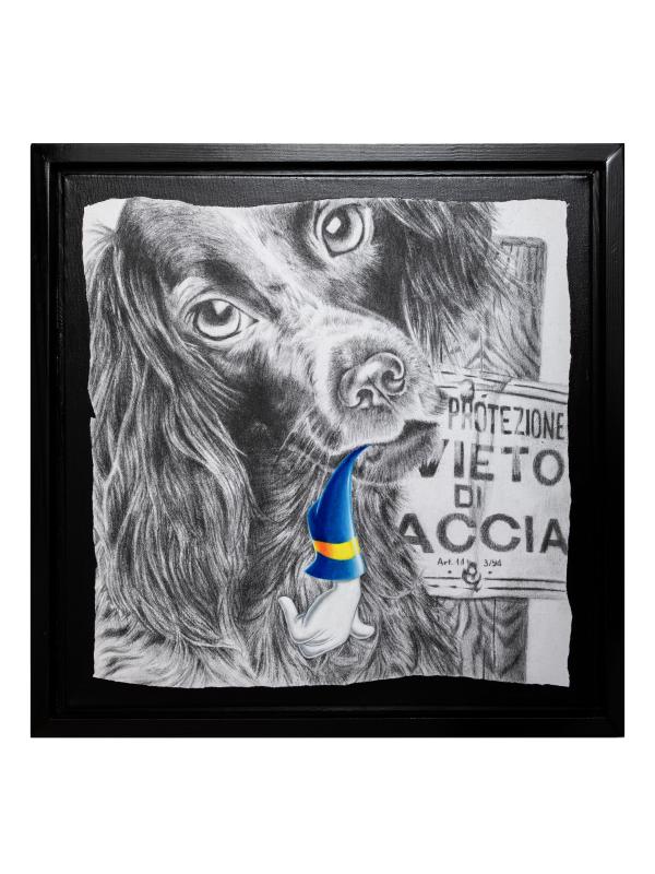 NON E' COLPA MIA