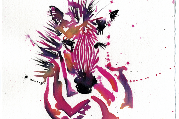 UNUSUAL ZEBRA n°2