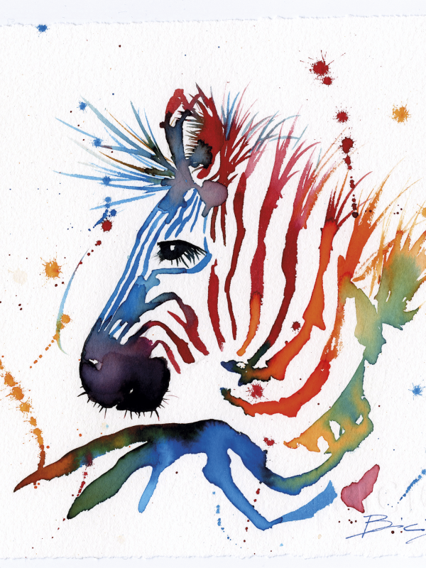 UNUSUAL ZEBRA n°3